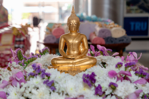 ร่วมงานทำบุญกลางบ้าน 