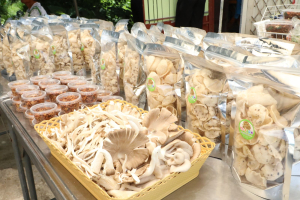 โครงการเพิ่มศักยภาพชุมชน Soft Power บนฐานอัตลักษณ์ศิลปวัฒนธรรมท้องถิ่น วิสาหกิจชุมชนเกษตรพร้อมใจบ้านโพธิ์พร้อมจิต อำเภอพระพุทธบาท จังหวัดสระบุรี 